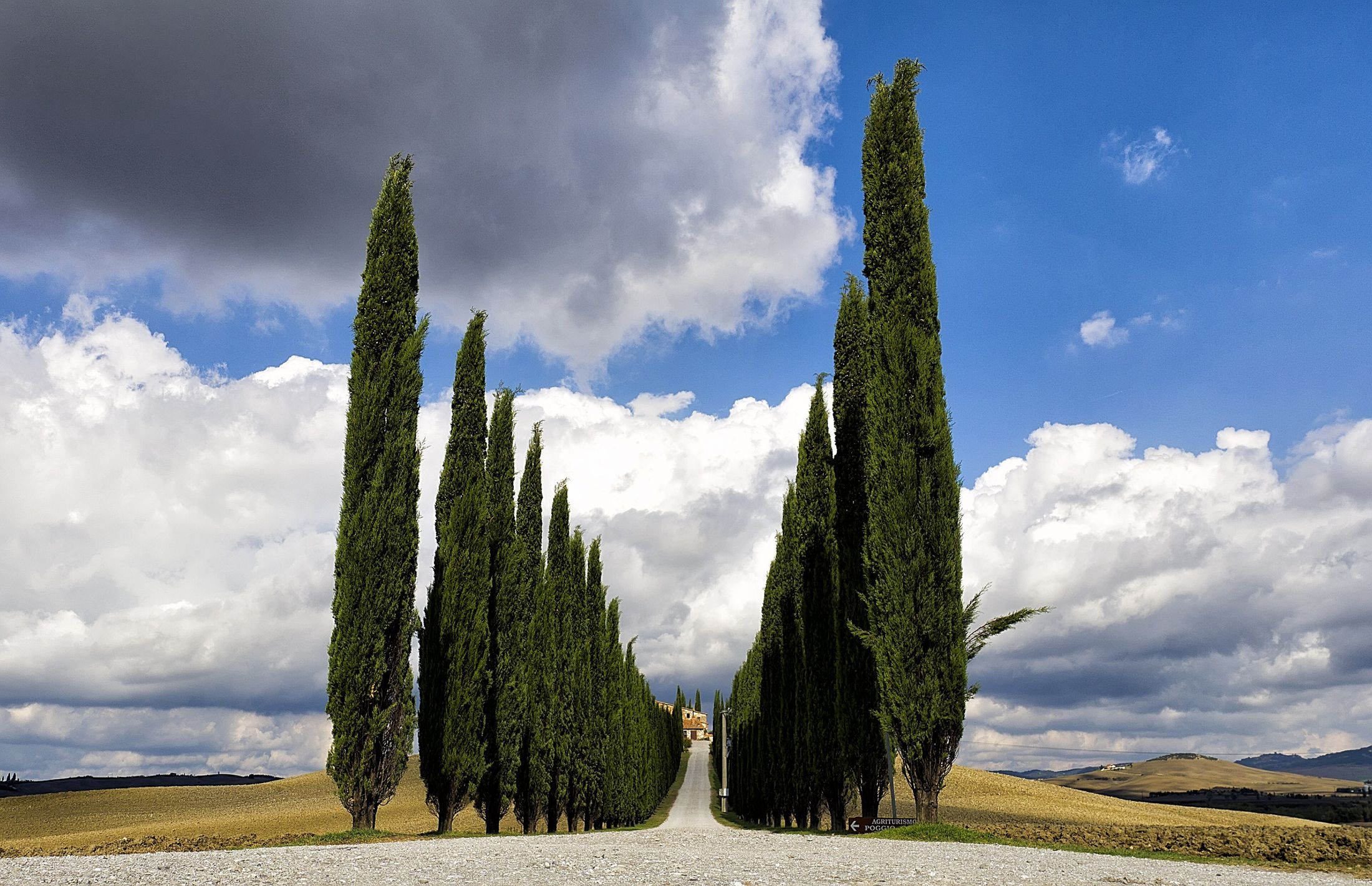 A cypress-lined road through the Tuscan hills